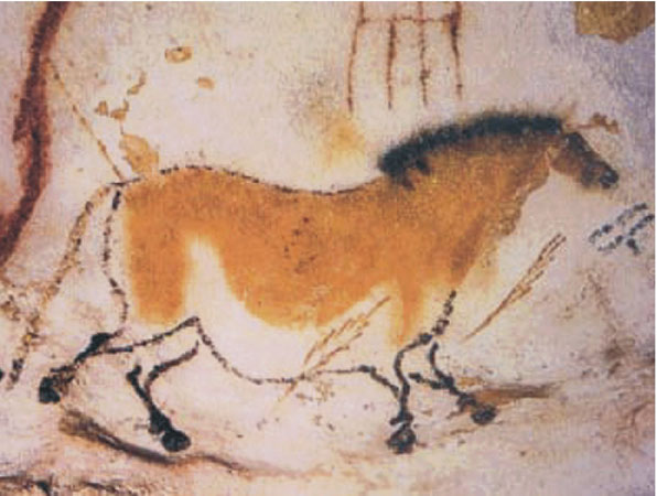 Peinture rupestre de la grotte de Lascaux, France (15 000 &agrave; 18 000 ans)